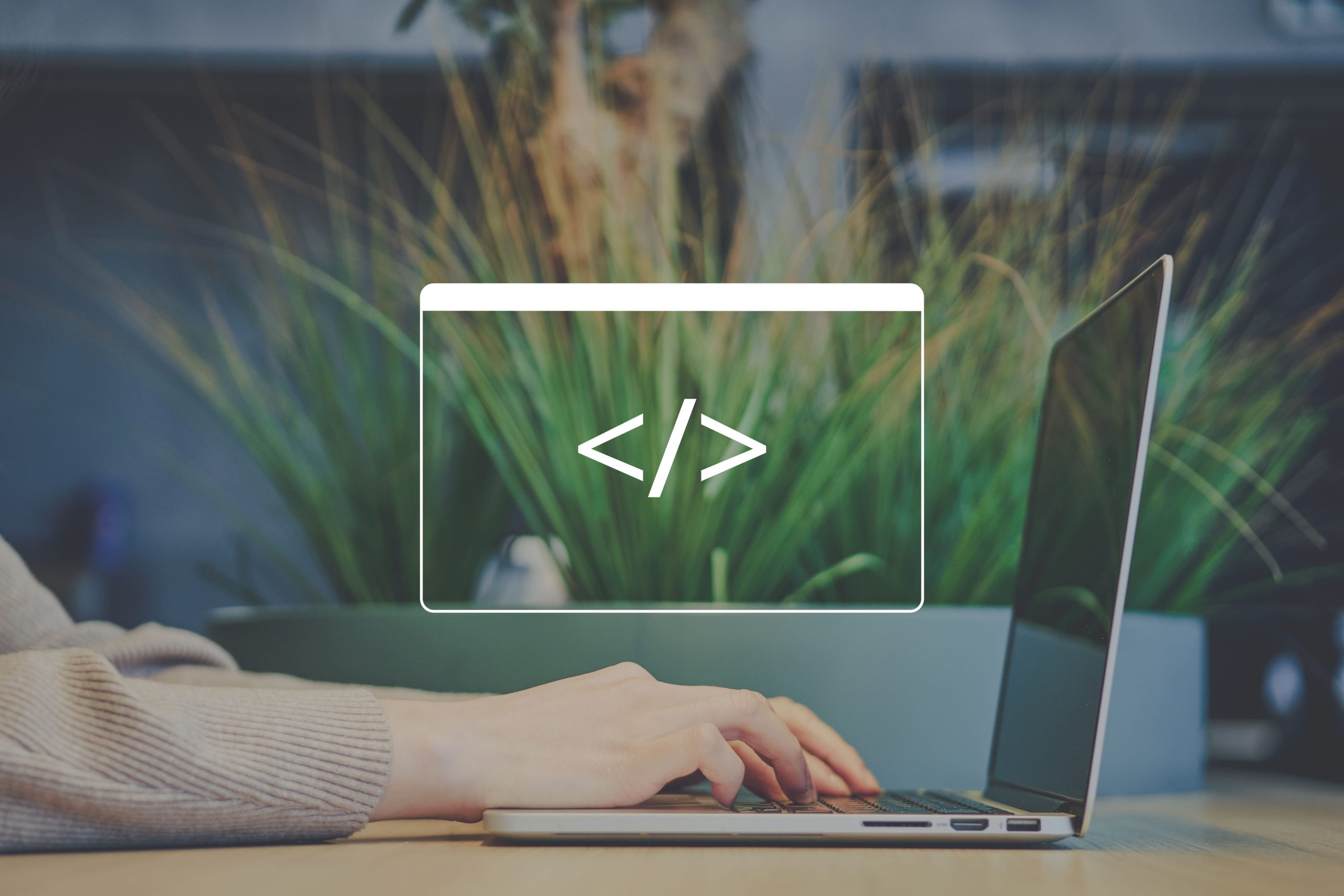 Desenvolvimento de Websites